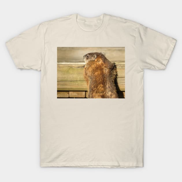 Curious Groundhog Photograph T-Shirt by love-fi